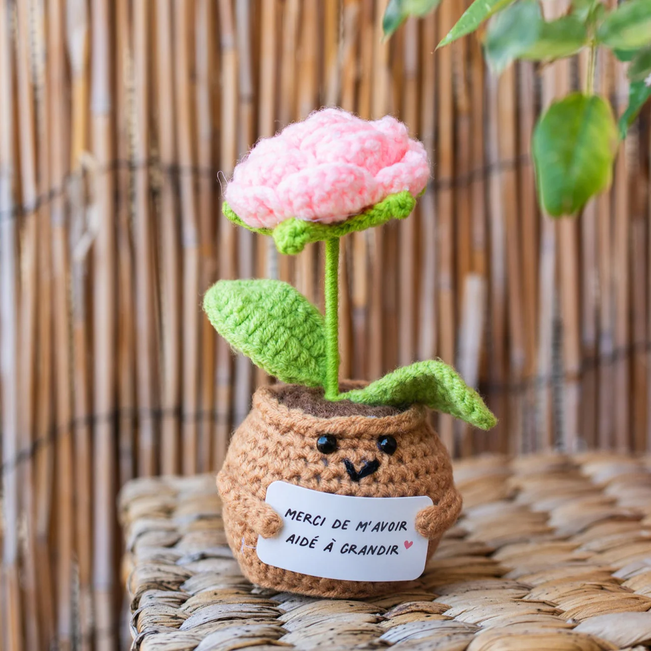 Miniature 2