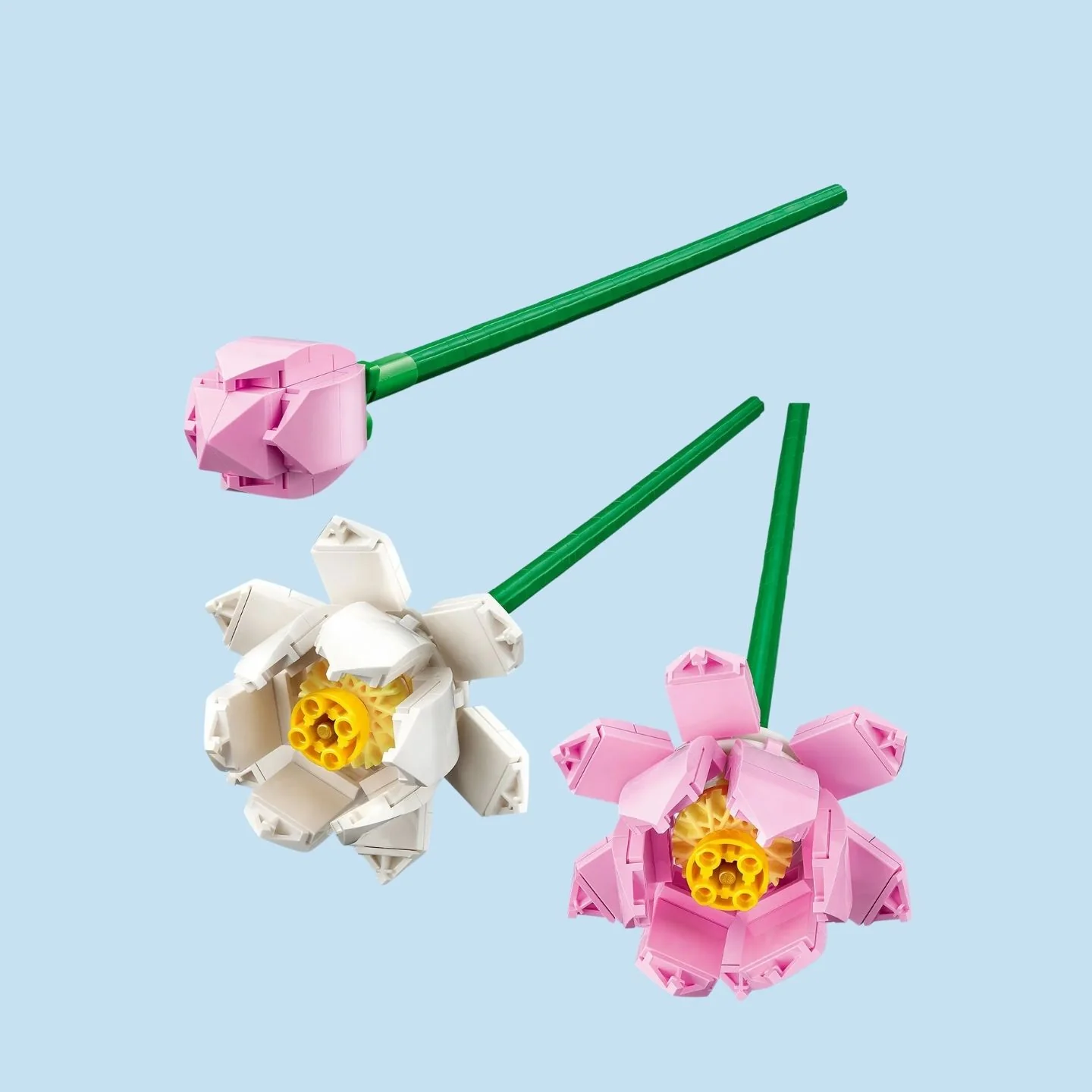 Miniature 2