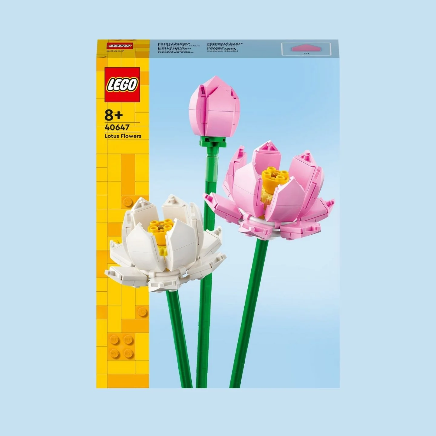 Miniature 4