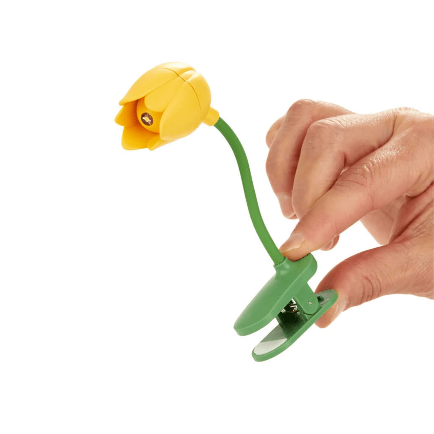 Miniature 3